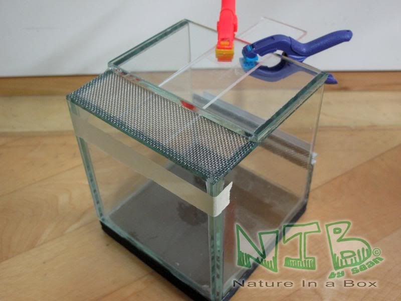 Convert a glass aquarium to a European style terrarium Dendroboard